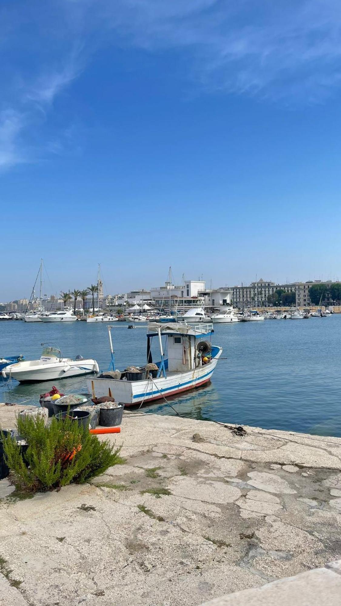 Locazione Turistica Madera Hotell Bari Eksteriør bilde